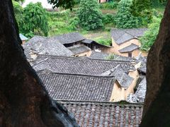 -杨家堂村
