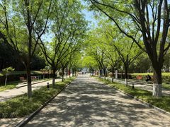 -城市运动公园(未央区)