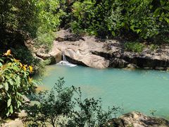 -广州白江湖森林公园