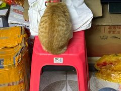 -长平腊味·潮汕特产