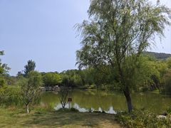 -习家池