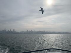 -阿尔卡特拉斯岛