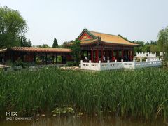 -武清南湖绿博园