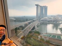 -夏苑(新加坡丽思卡尔顿美年酒店)