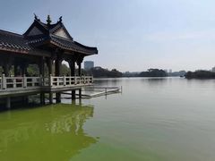 -惠州西湖丰渚园