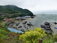 -大鹿岛