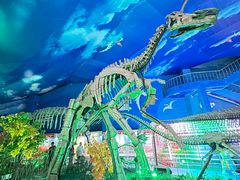 -诸城市恐龙博物馆