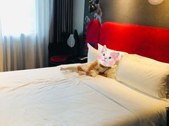 -桔子酒店(苏州中心金鸡湖店)
