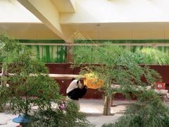 -杭州野生动物世界