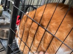 -臻鲜燕海鲜融合餐厅(金陵style店)