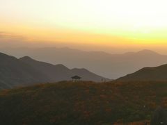 -大围山国家森林公园