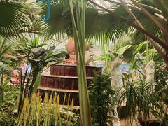 -龙脉温泉室内游泳馆