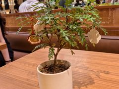 -CURRY YA 熟成咖哩專門店(深圳湾万象城店)