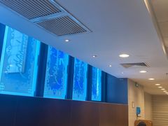 -麦当劳(呼市新华东街店)