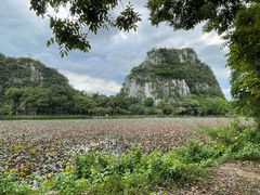 -星湖旅游景区七星岩