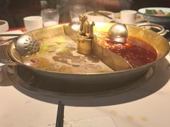 -小龙翻大江文化火锅(宽窄店)