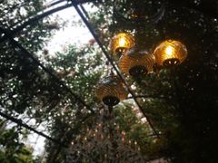 -The Grounds of Alexandria