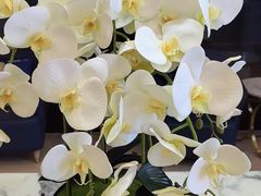 -瑞尔齿科(颐堤港诊所)