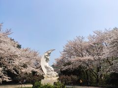 -杭州少年儿童公园