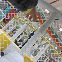 点击看大图 -泛尼尼儿童乐园(文化广场店)