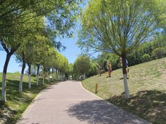 -青藏高原野生动物园