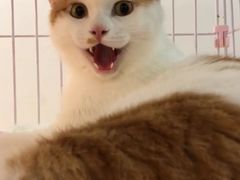 -比格比萨自助(花园路店)