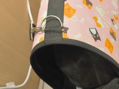 -瑞派·关忠动物医院·猫专科·犬专科(三环新城店)