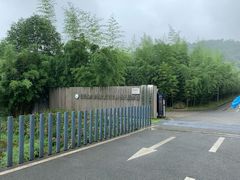-都江堰中华大熊猫苑