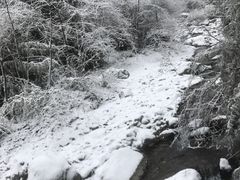 -西岭雪山大飞水景区