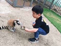 -无锡动物园·太湖欢乐园