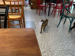 -袁妈红豆汤(重庆总店)