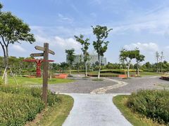 -春花秋色城市公园