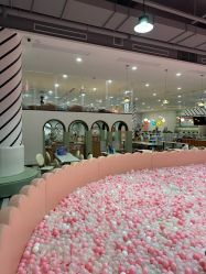 -宝燕乐园(春申店)