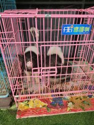 -可可天空农场(中大店)