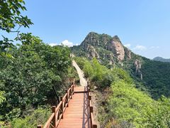 -大岭沟猕猴桃谷风景区