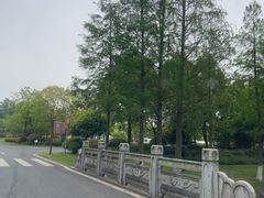 -官亭林海