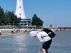 -北海金海湾红树林生态旅游区