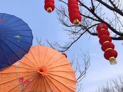 -洛阳市隋唐城遗址植物园