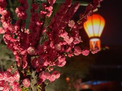 -有喜胶东小馆(超极合生汇太申祥和店)