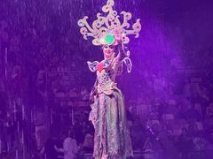 -广州长隆国际大马戏
