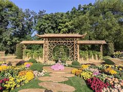 -上海共青森林公园