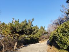 -香山公园