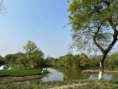 -西溪国家湿地公园