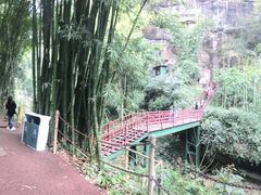 -川西竹海景区