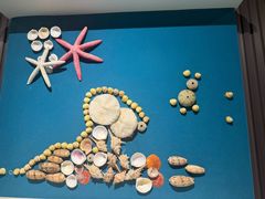 -青岛贝壳博物馆