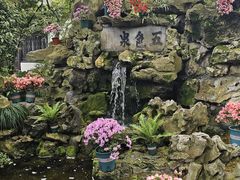 -上海醉白池公园