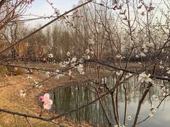 -东郊湿地公园