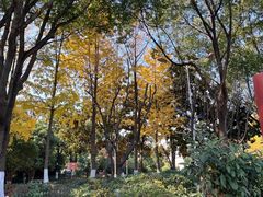 -双拥公园