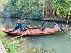 -溱湖国家湿地公园