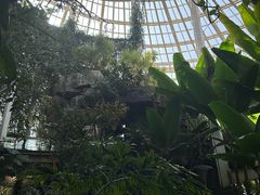 -昆明植物园